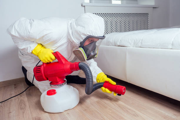 Best Pest Prevention Services  in Brockway, PA