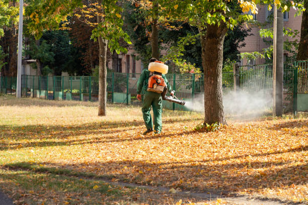 Best Termite Control Services  in Brockway, PA